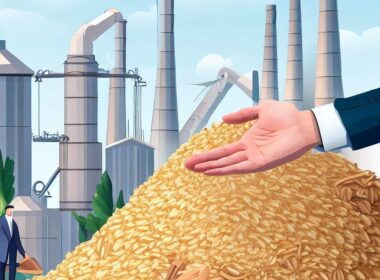 Sprzedaż biomasy do elektrowni: Rynek i perspektywy