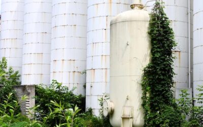 Czy biogaz jest odnawialnym źródłem energii?