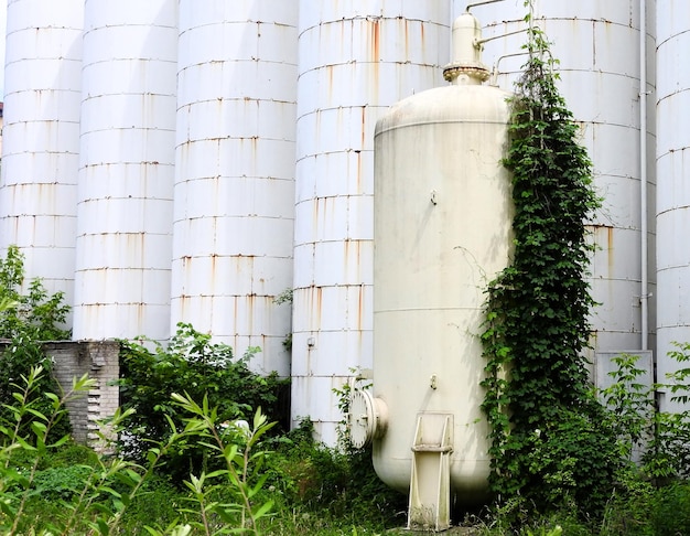Czy biogaz jest odnawialnym źródłem energii?