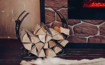 Czy brzoza do kominka jest warta swojej ceny?