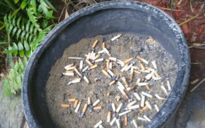 Gdzie przechowywać brykiet torfowy żeby zachował swoje właściwości?