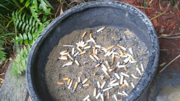 Gdzie przechowywać brykiet torfowy żeby zachował swoje właściwości?