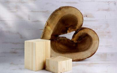 Ile kosztuje kubik drewna w zależności od gatunku?