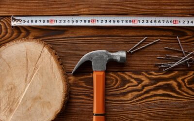 Ile kosztuje metr sześcienny drewna prosto z lasu?