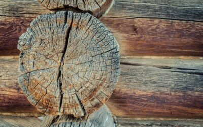 Ile metrów drewna zastąpi tonę węgla w domowym ogrzewaniu?