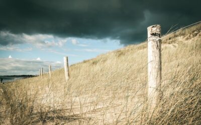 Kiedy powstała zapora w Solinie i co wpłynęło na jej budowę?