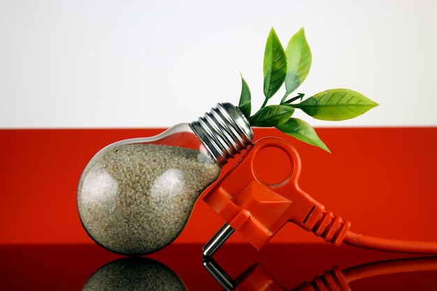 Które źródła energii elektrycznej dominują w Polsce?