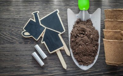 Czy brykiet torfowy warto kupić na zimę?