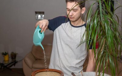 Czy można wytwarzać prąd z wody w domowych warunkach?