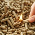 Czy pellet można uznać za biomasę?