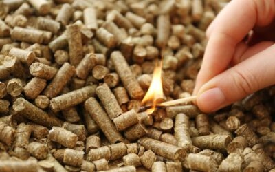 Czy pellet można uznać za biomasę?