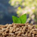 Czy pellet można uznać za odnawialne źródło energii?