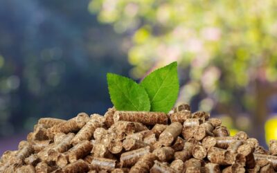 Czy pellet można uznać za odnawialne źródło energii?