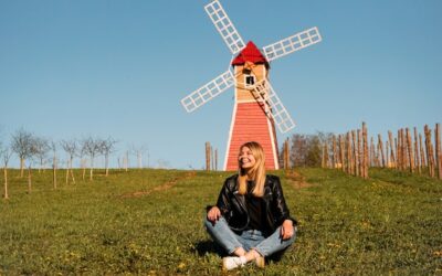 Dlaczego wiatraki czasem stoją nieruchomo mimo silnego wiatru?