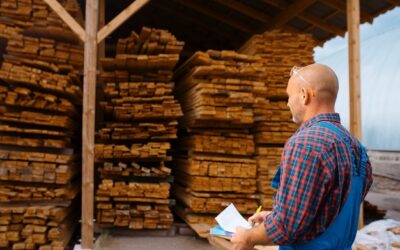 Gdzie w Łodzi kupić tanie drewno opałowe bez przepłacania?