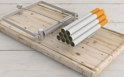 Ile kosztuje metr sześcienny drzewa na opał w Polsce?