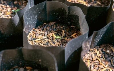 Jaką klasę kotła na ekogroszek z podajnikiem wybrać do domu?