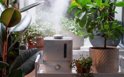 Jakie kotły zapewniają czyste powietrze w domu?