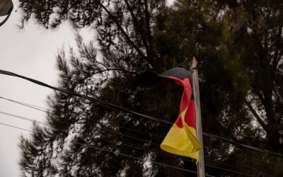 Skąd Niemcy biorą energię elektryczną dla swoich domów?