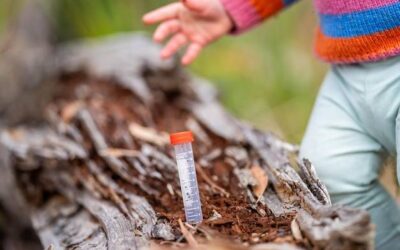 Jakie są klasy energetyczne pieców i dlaczego warto je znać?